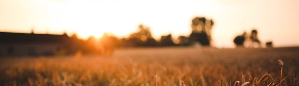 Clinical Psychologist I Anxiety I Depression I Marie Lovdokken Ph.D.